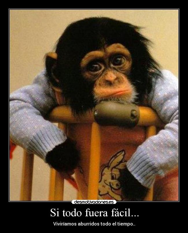 Si todo fuera fácil... - Viviríamos aburridos todo el tiempo..
