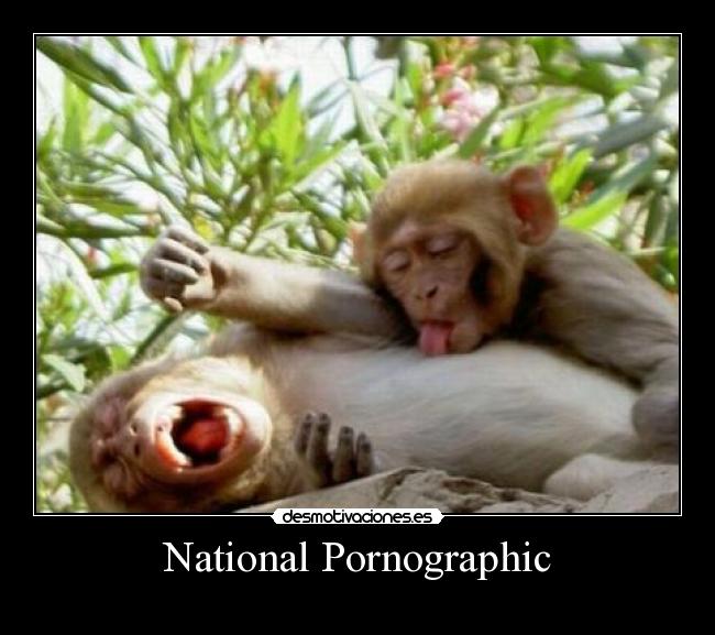 National Pornographic - 