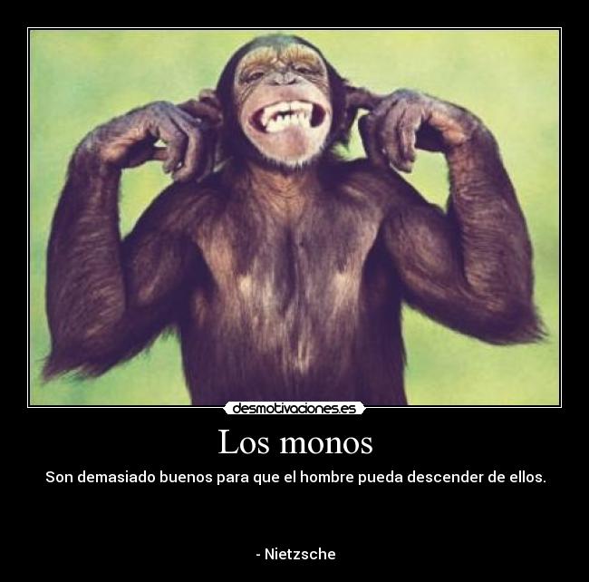 Los monos -