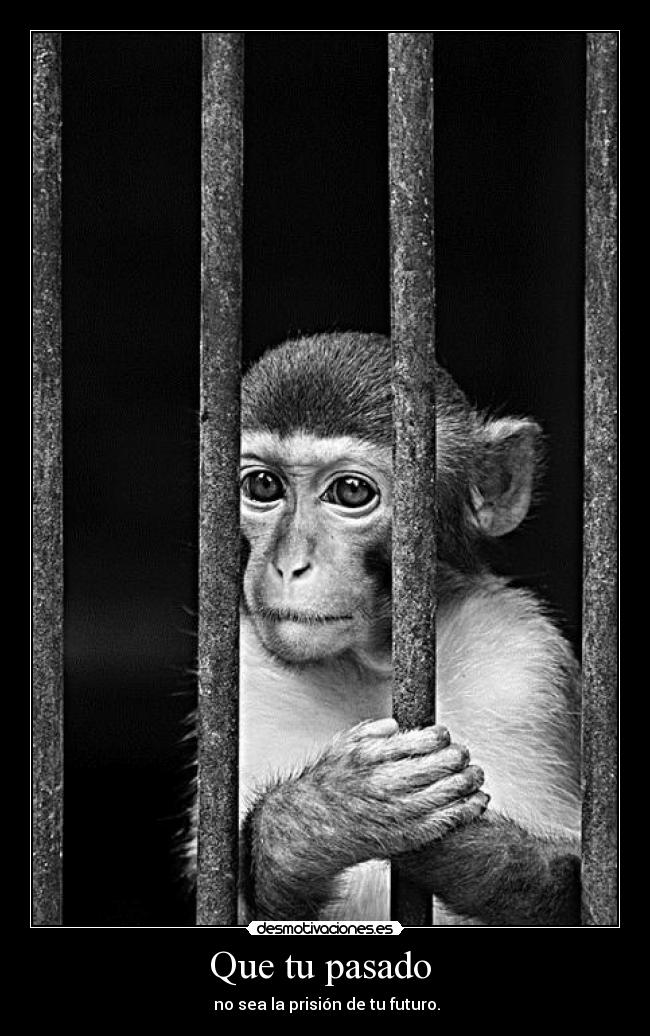 Que tu pasado  -  no sea la prisión de tu futuro.