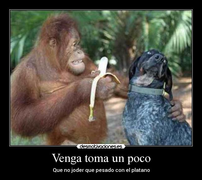 Venga toma un poco - 