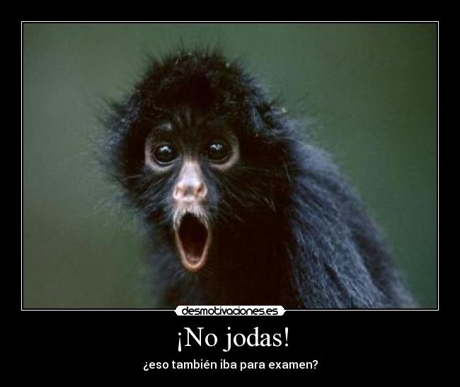 ¡No jodas! - ¿eso también iba para examen?