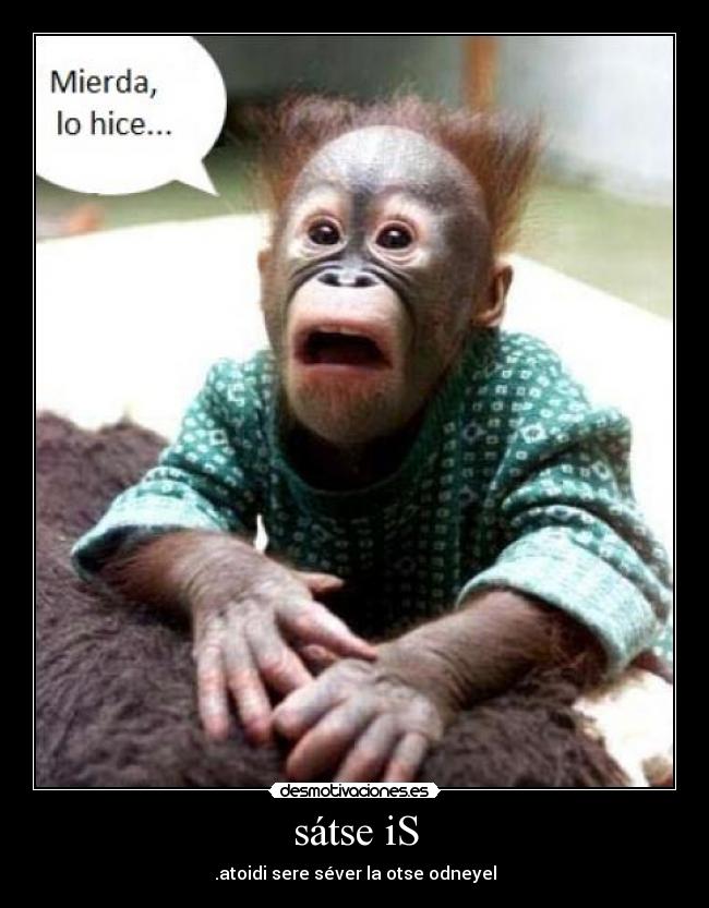 sátse iS - .atoidi sere séver la otse odneyel