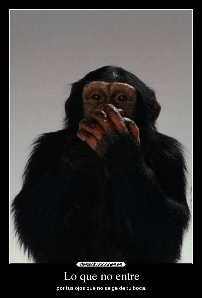 Lo que no entre - por tus ojos que no salga de tu boca.