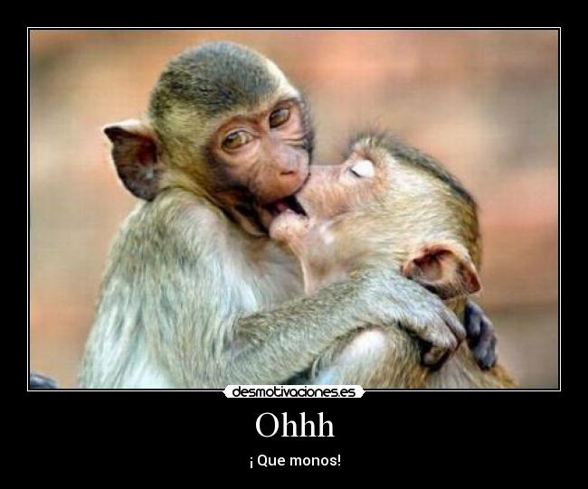 Ohhh - ¡ Que monos!
