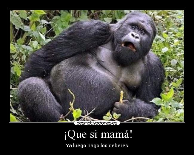 ¡Que si mamá! - Ya luego hago los deberes