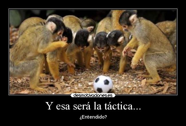 Y esa será la táctica... - ¿Entendido?