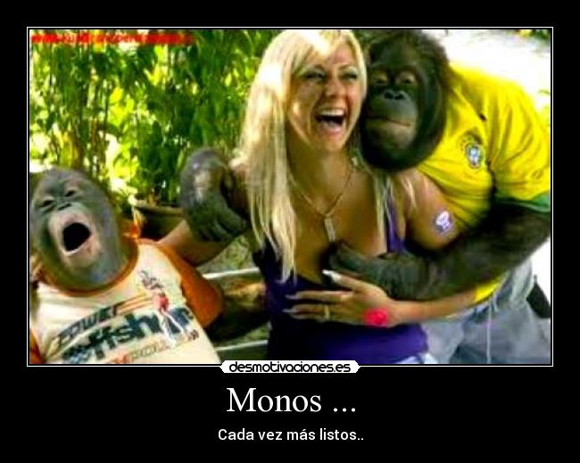 Monos ... -
