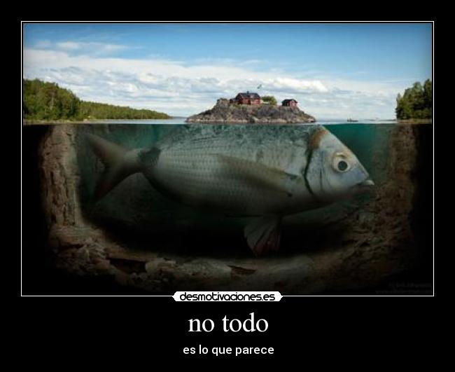 no todo -