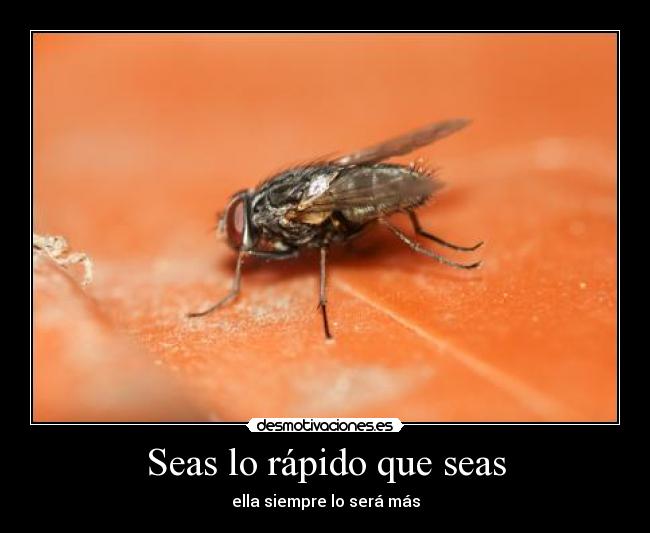 Seas lo rápido que seas - 