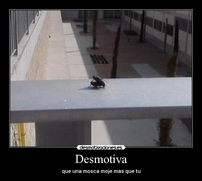 Desmotiva - 