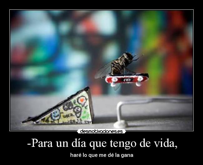 -Para un día que tengo de vida, - 