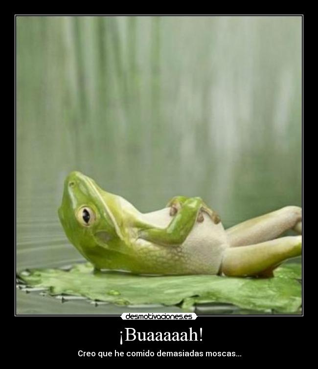 ¡Buaaaaah! - Creo que he comido demasiadas moscas...