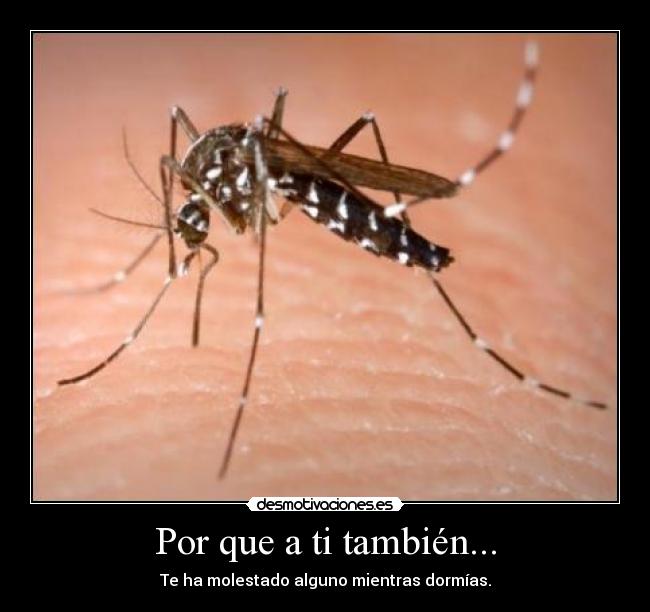 carteles desmo001 desmotivaciones