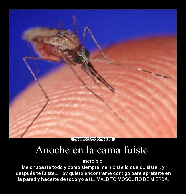 carteles anoche cama fuiste desmotivaciones