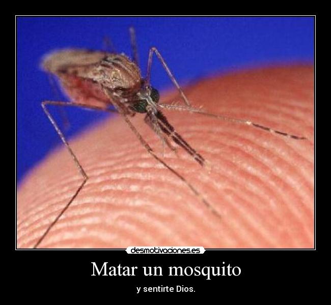 Matar un mosquito - y sentirte Dios.