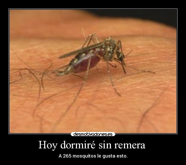 Hoy dormiré sin remera - A 265 mosquitos le gusta esto.