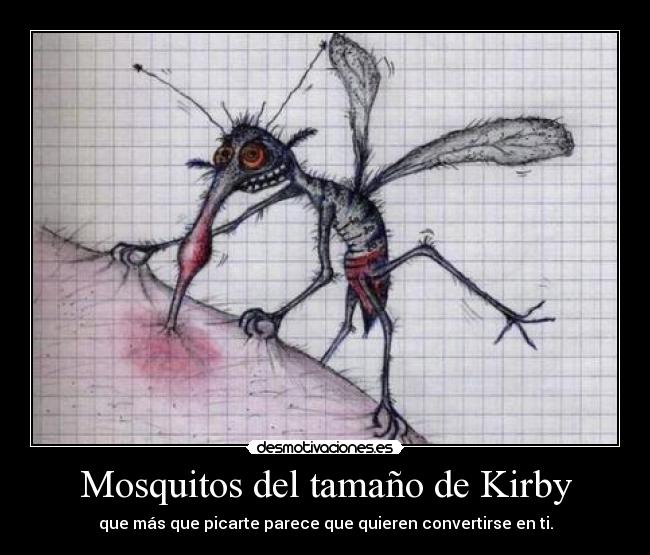 Mosquitos del tamaño de Kirby - 