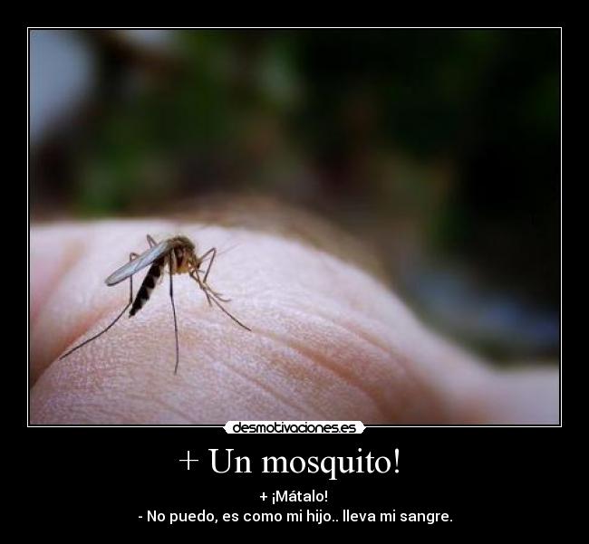 + Un mosquito!  - 