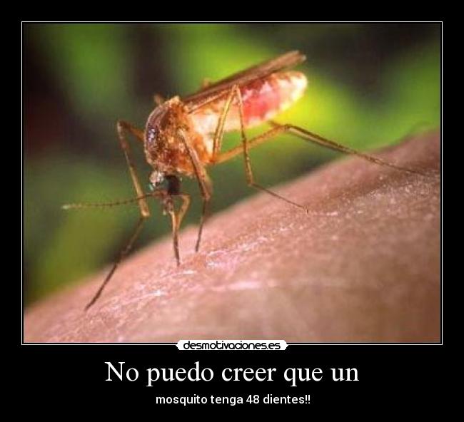 No puedo creer que un -