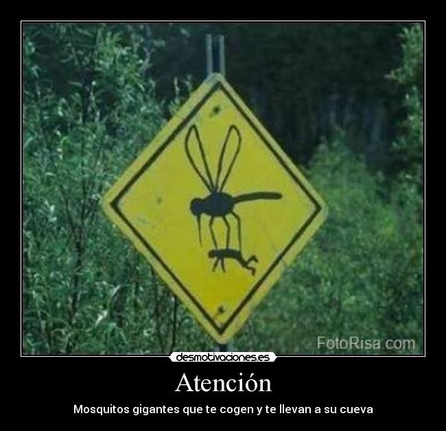 Atención - Mosquitos gigantes que te cogen y te llevan a su cueva