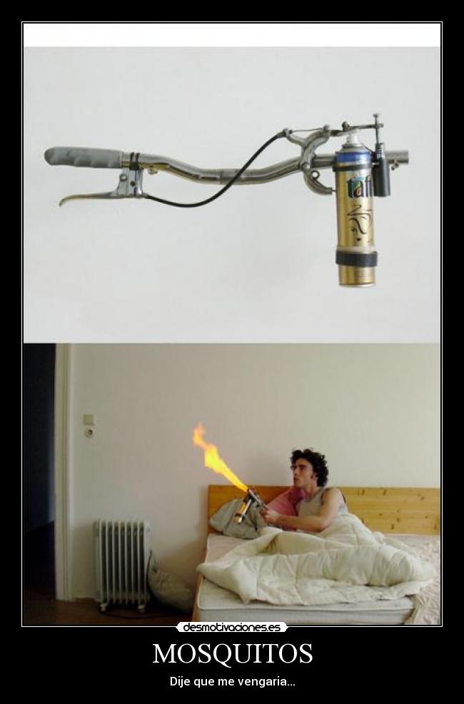 MOSQUITOS - 