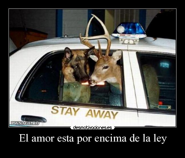 El amor esta por encima de la ley -