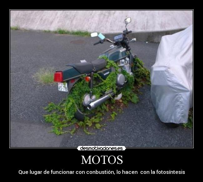 MOTOS - Que lugar de funcionar con conbustión, lo hacen con la fotosíntesis