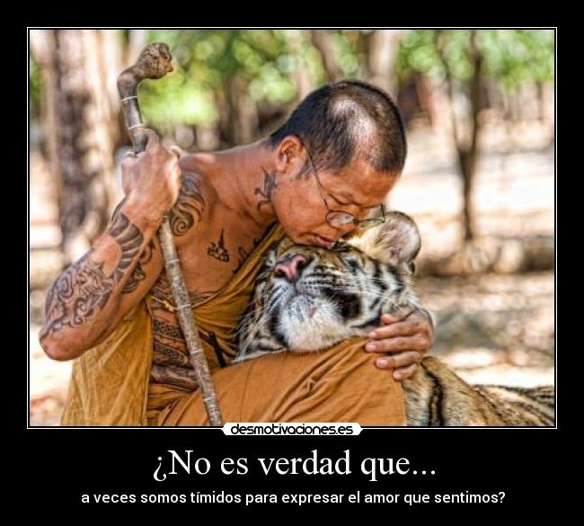 carteles lachepibaa desmotivaciones