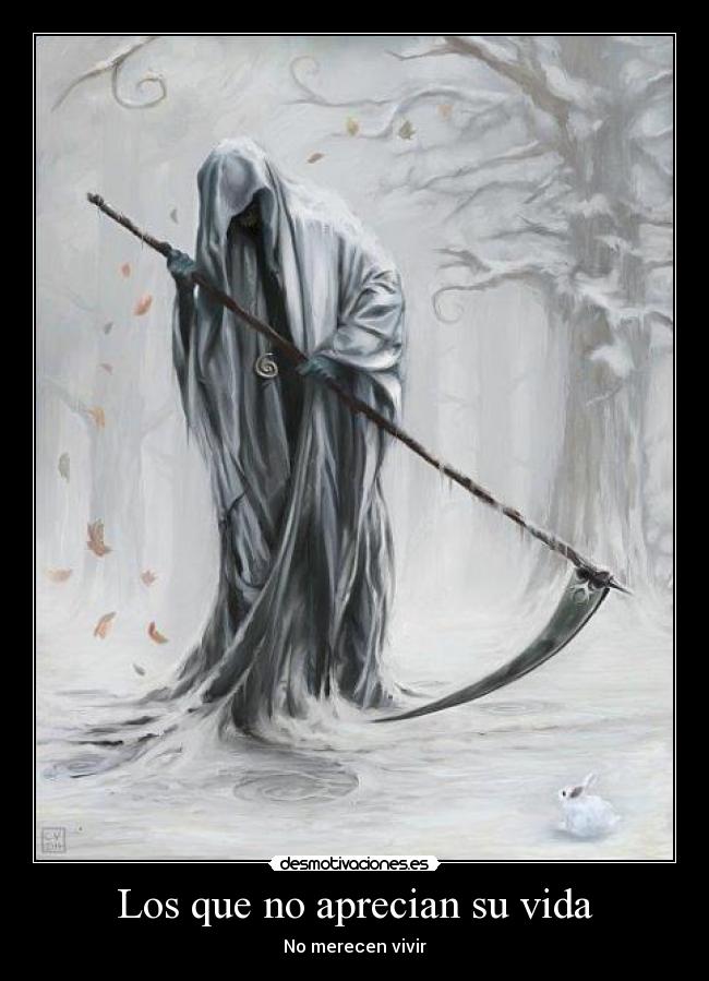 carteles vida vivir merecer aprecian suvida fijaos conejito blanco desmotivaciones