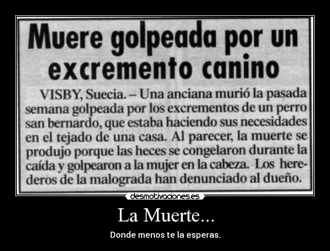 carteles muerte muerte donde menos esperas excrementos caninos san bernardo desmotivaciones