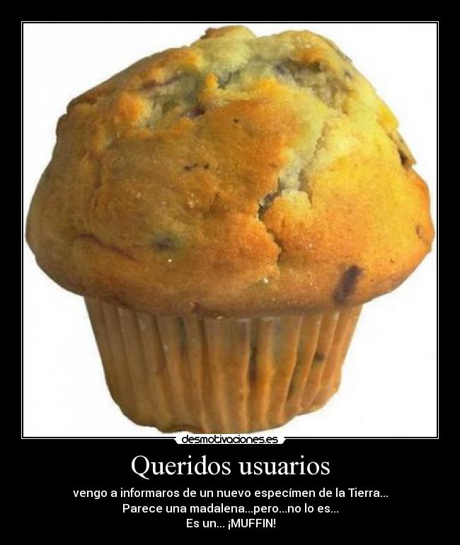 Queridos usuarios - vengo a informaros de un nuevo especímen de la Tierra...
Parece una madalena...pero...no lo es...
Es un... ¡MUFFIN!
