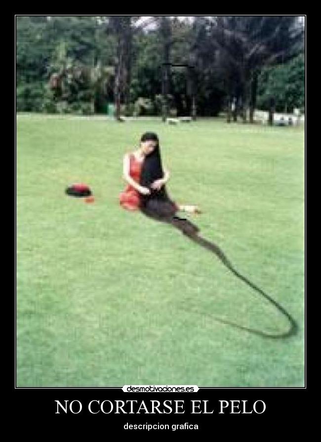 NO CORTARSE EL PELO - 