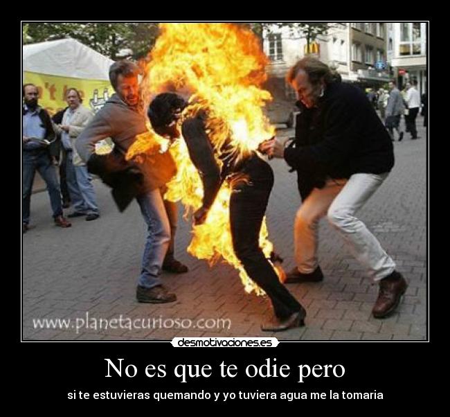 No es que te odie pero - si te estuvieras quemando y yo tuviera agua me la tomaria