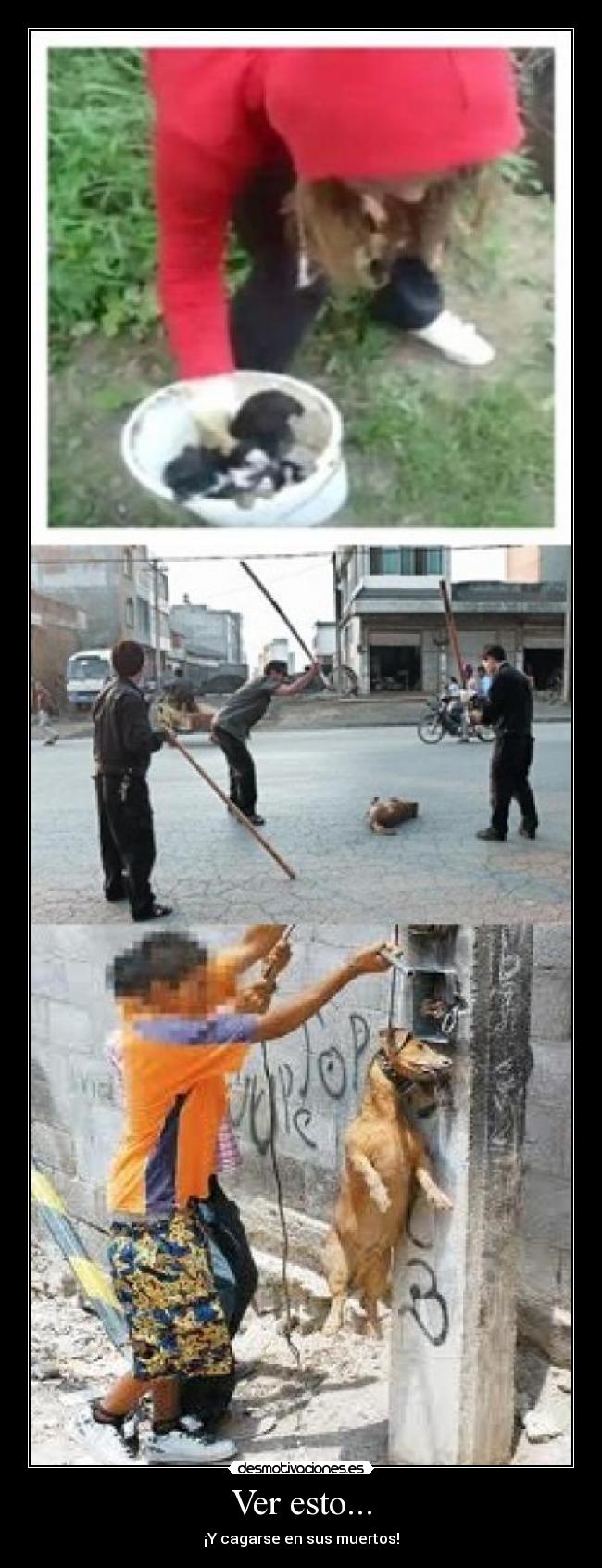 Ver esto... - ¡Y cagarse en sus muertos!