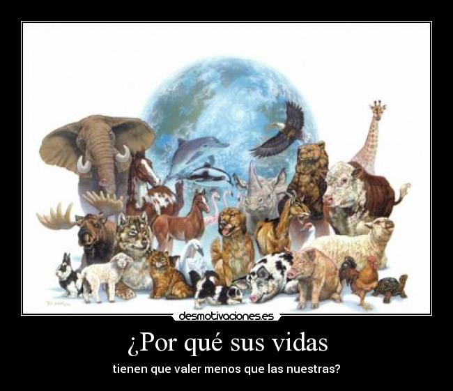 ¿Por qué sus vidas - 