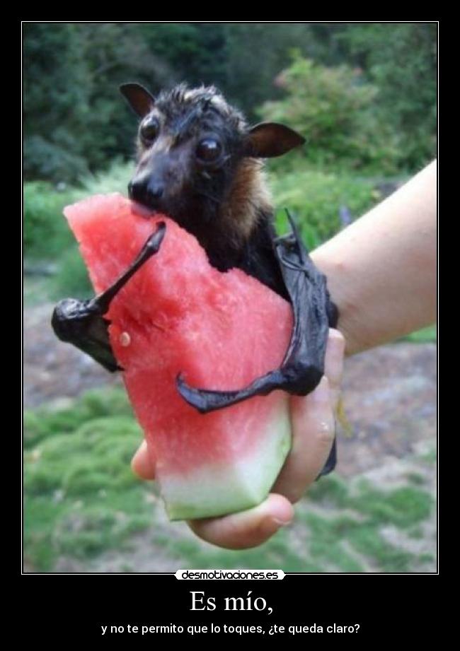 Es mío, - y no te permito que lo toques, ¿te queda claro?