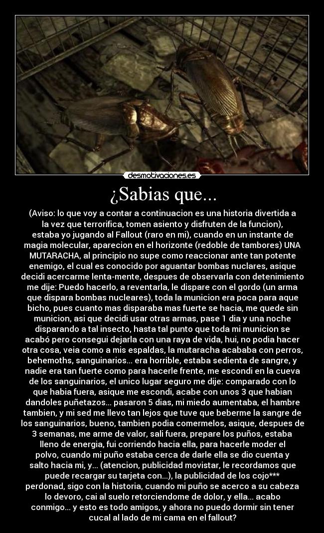 ¿Sabias que... - 