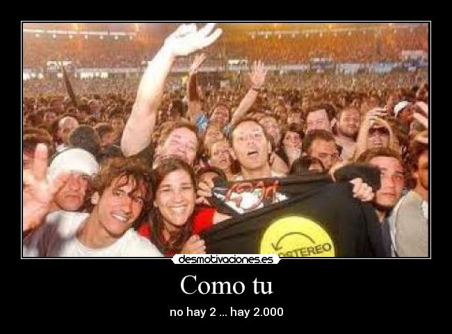 Como tu - no hay 2 ... hay 2.000