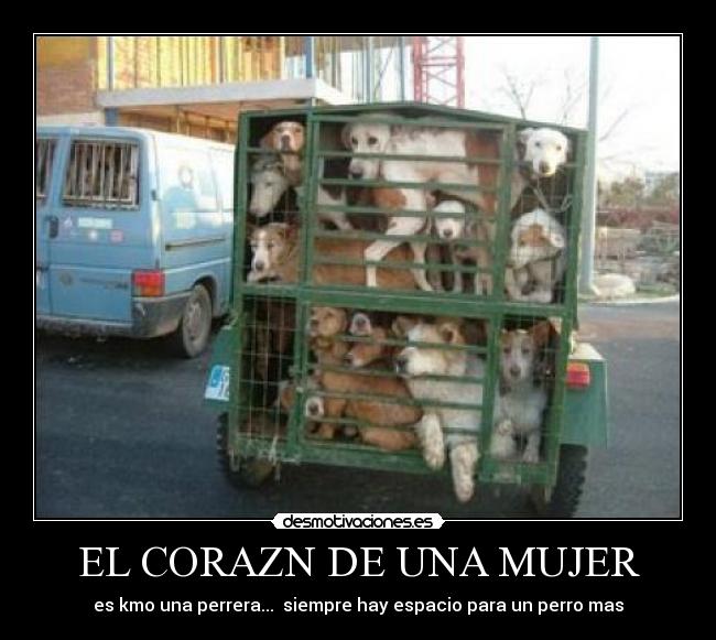 EL CORAZN DE UNA MUJER - es kmo una perrera...  siempre hay espacio para un perro mas