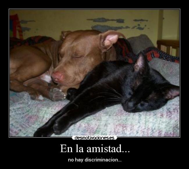 En la amistad... - no hay discriminacion...