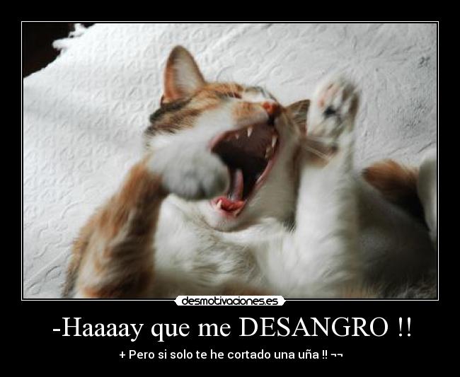 -Haaaay que me DESANGRO !! - 
