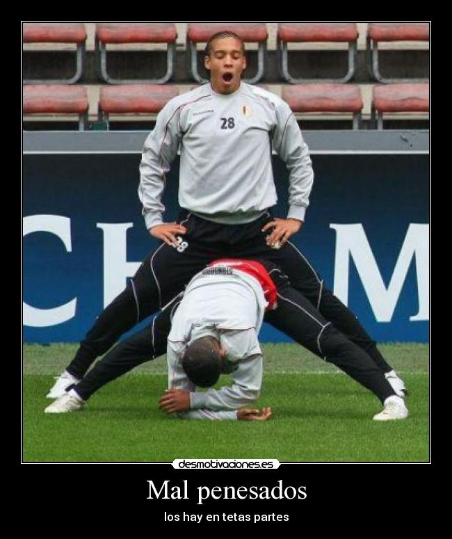 Mal penesados - los hay en tetas partes