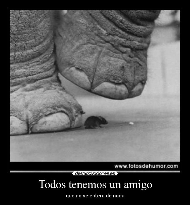 Todos tenemos un amigo -