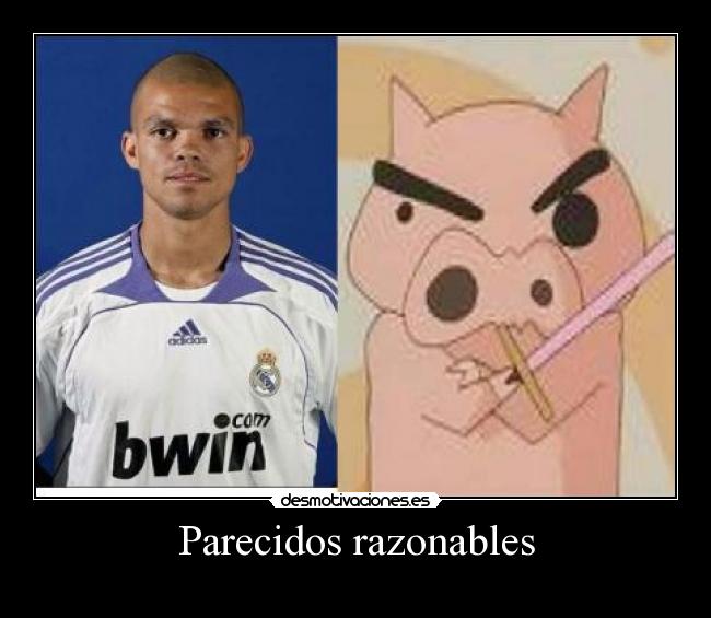 Parecidos razonables -