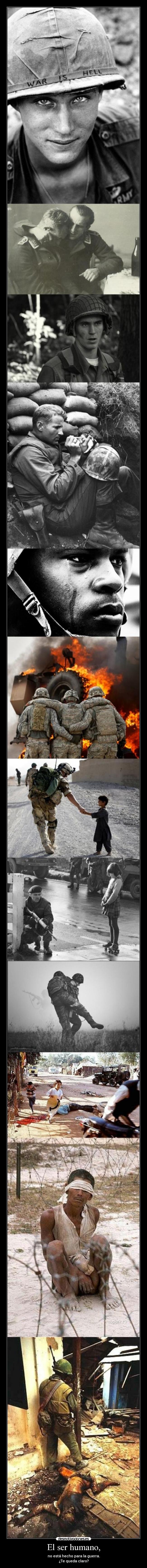 El ser humano, - no está hecho para la guerra.
¿Te queda claro?