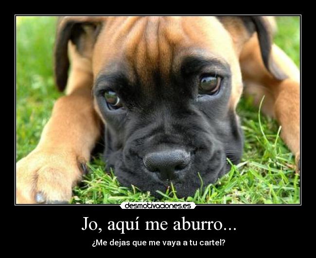 Jo, aquí me aburro... - 