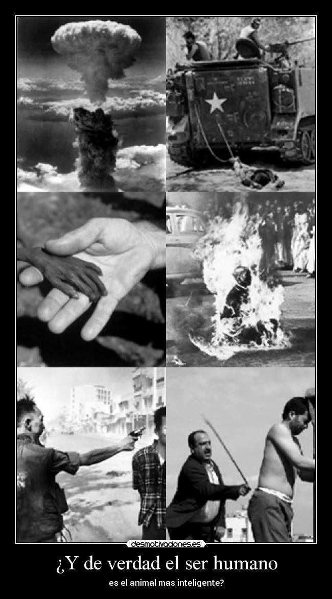 ¿Y de verdad el ser humano -