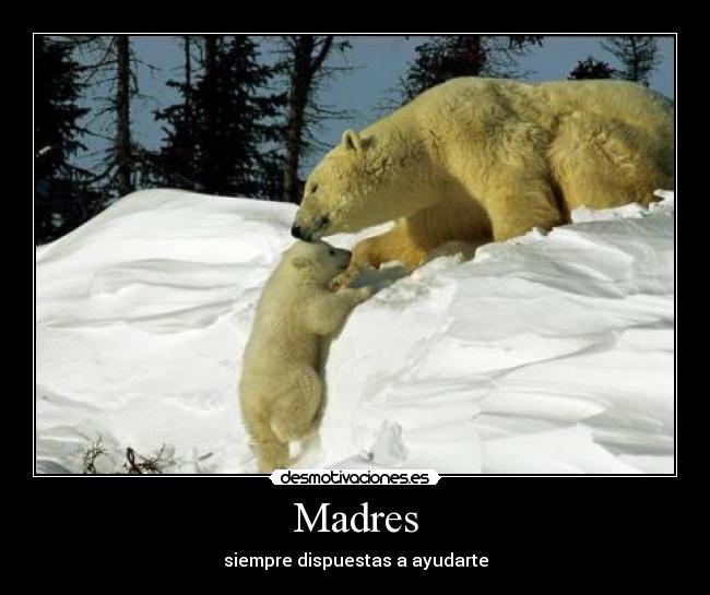 Madres -