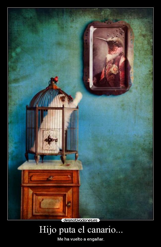 Hijo puta el canario... - 